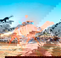 Boulia Camel Races - Hervey Bay Accommodation