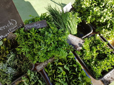 Carlton Farmers' Market - Hervey Bay Accommodation 2