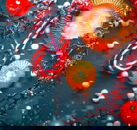 Christmas Celebration at Echoes Boutique Hotel - Tourism Hervey Bay