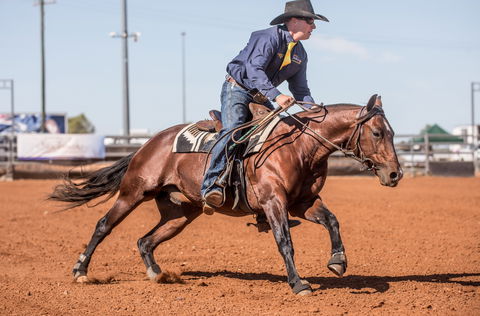 Cloncurry Stockmans Challenge And Campdraft - Hervey Bay Accommodation 1