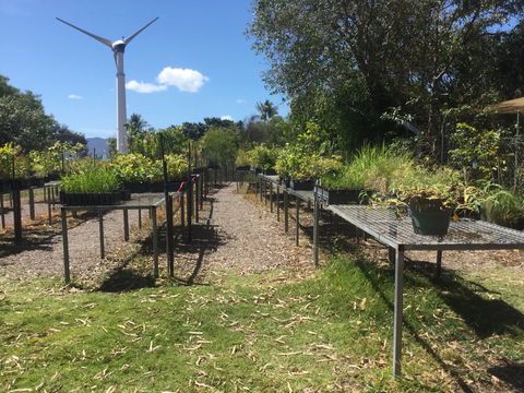 Conservation Volunteers Australia Townsville - Ocean View Nursery - Hervey Bay Accommodation 0