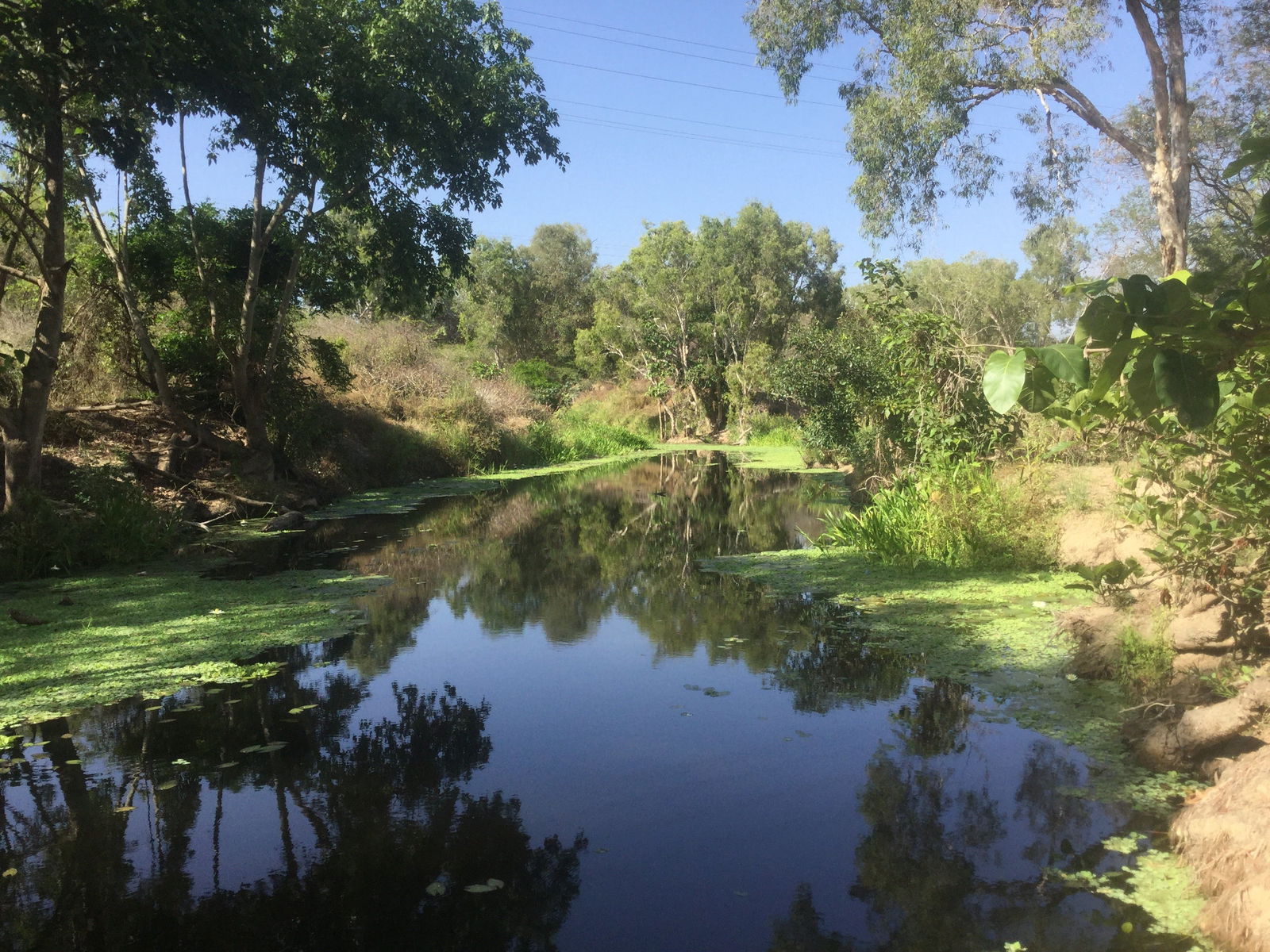 Belgian Gardens QLD Hervey Bay Accommodation