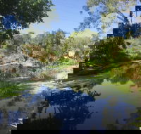 Conservation Volunteers Australia Townsville - Creekwatch - Hervey Bay Accommodation