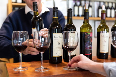 Coonawarra Cellar Dwellers - Hervey Bay Accommodation 2