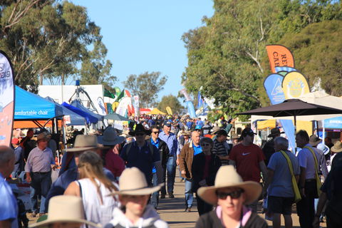 CRT FarmFest - Hervey Bay Accommodation 1