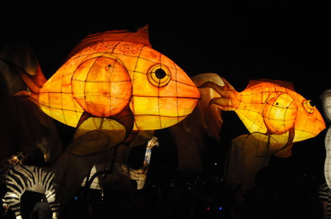 DREAM Festival: Music And Markets Event - Tourism Hervey Bay 2