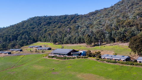 Father's Day Lunch At Holmesglen At Eildon - Hervey Bay Accommodation 2