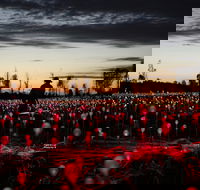 Field of Light Uluru - Hervey Bay Accommodation