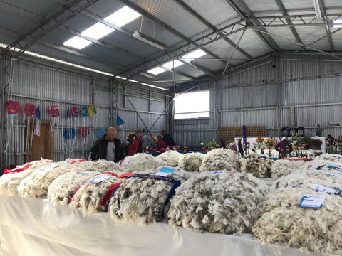 Flinders Island Show - Hervey Bay Accommodation 2
