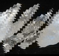 Gemkhana - Tourism Hervey Bay