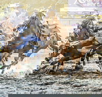 Gundagai Rodeo - Hervey Bay Accommodation
