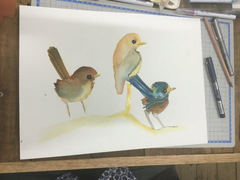 Ink & Watercolour Wash Illustration Workshop - Hervey Bay Accommodation 0