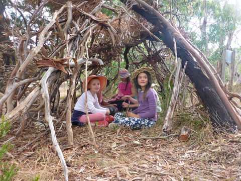 July 2020 Holidays- Forest Adventures Treasure Hunt - Hervey Bay Accommodation 2