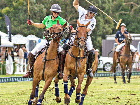 Land Rover Polo In The City - Hervey Bay Accommodation 0