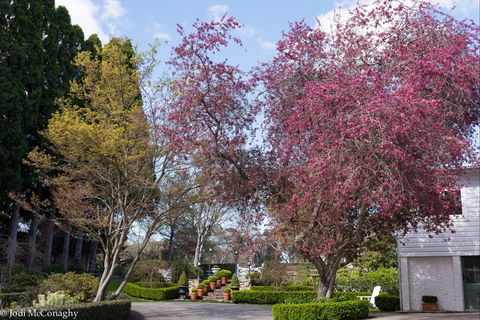 Leura Gardens Festival - Cancelled - Hervey Bay Accommodation 0