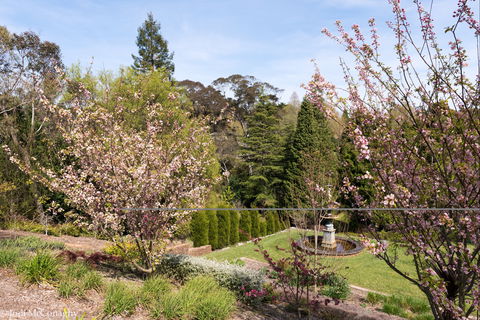 Leura Gardens Festival - Cancelled - Hervey Bay Accommodation 2