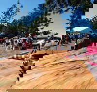 Maleny Wood Expo From Seed to Fine Furniture - Hervey Bay Accommodation