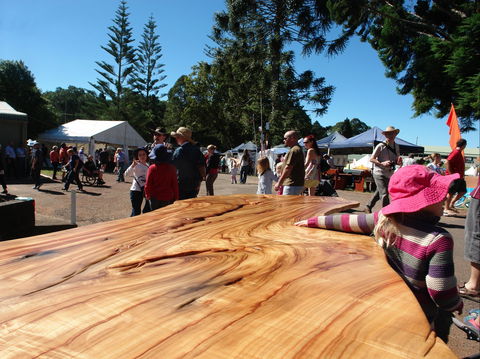 Maleny Wood Expo: From Seed To Fine Furniture - Tourism Hervey Bay 0