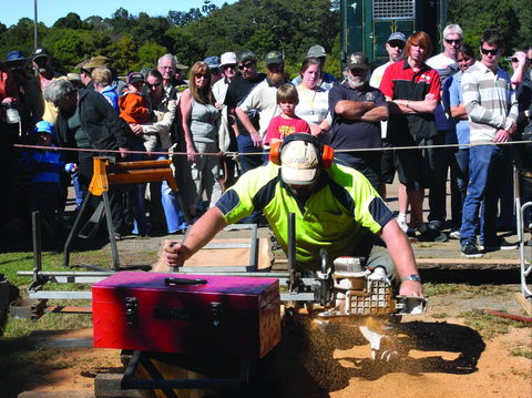 Maleny Wood Expo: From Seed To Fine Furniture - Tourism Hervey Bay 2