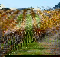 Miners Ridge Wine Tasting - Hervey Bay Accommodation