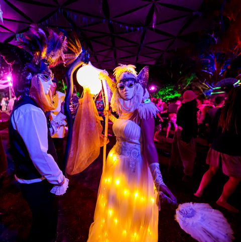 Mushroom Valley Festival - Hervey Bay Accommodation 1