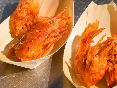 Ocean Harvest Festival - Hervey Bay Accommodation 1