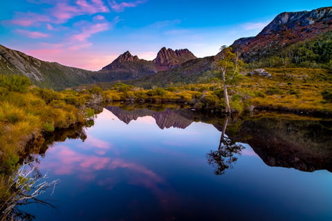 Pfeiffer Wines Photographic Exhibition - Wodonga Albury Camera Club - Tourism Hervey Bay 0
