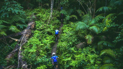 Reef To Reef - Tourism Hervey Bay 7