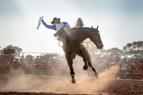Rodeo By The Sea - Streaky Bay - Hervey Bay Accommodation 0