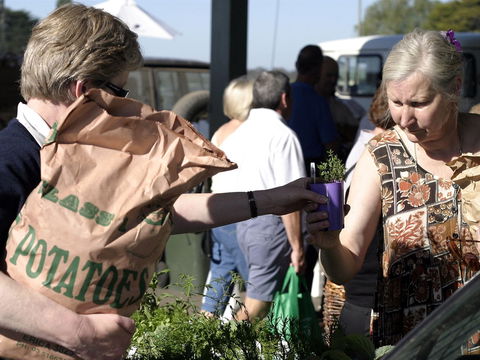 Sale  Producers Market - Hervey Bay Accommodation 0
