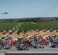 Santos Tour Down Under - Tourism Hervey Bay