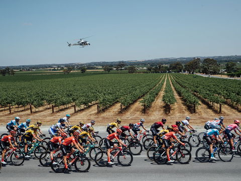 Santos Tour Down Under - Tourism Hervey Bay 0