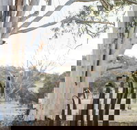 Sculptures in the Garden - Tourism Hervey Bay