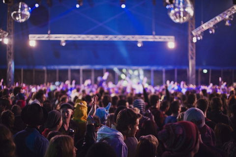 Splendour In The Grass - Tourism Hervey Bay 0