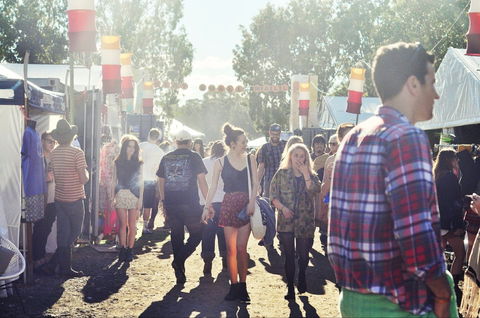 Splendour In The Grass - Tourism Hervey Bay 1