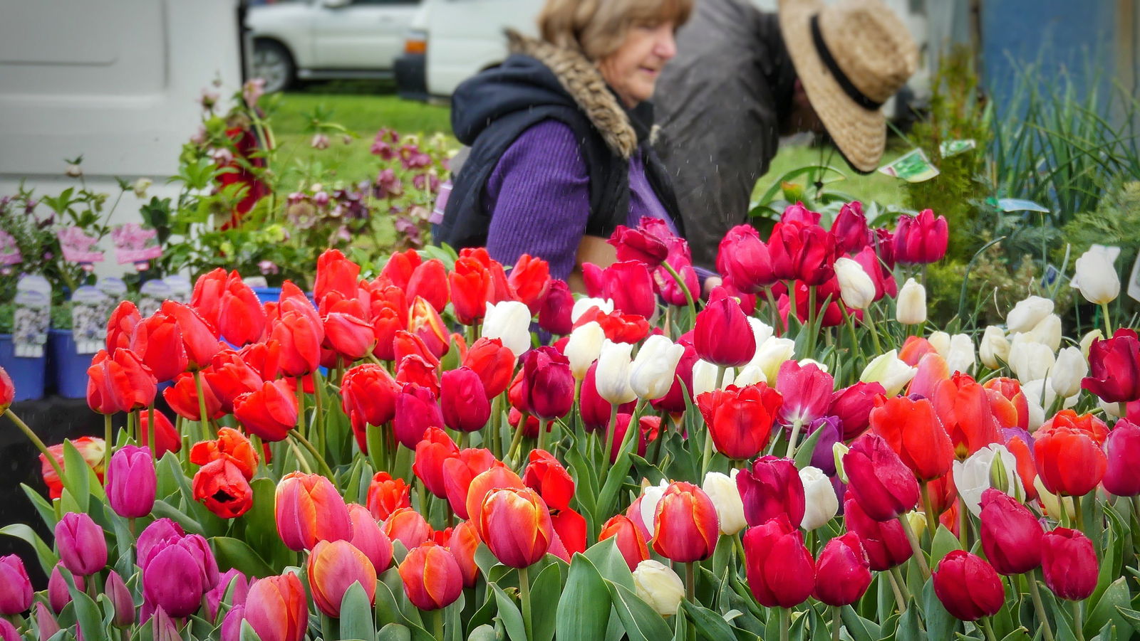 Flaxman Valley SA Tourism Hervey Bay