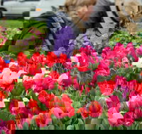 Spring Fling - Tourism Hervey Bay