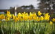 Sunday At Cruden Farm - thumb 0