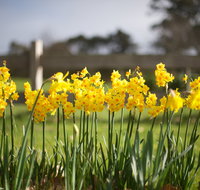 Sunday at Cruden Farm