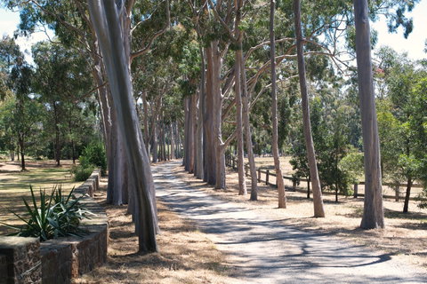 Sunday At Cruden Farm - Hervey Bay Accommodation 1