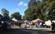 The Berry Markets - thumb 0