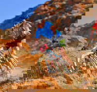 The Redback - Hervey Bay Accommodation