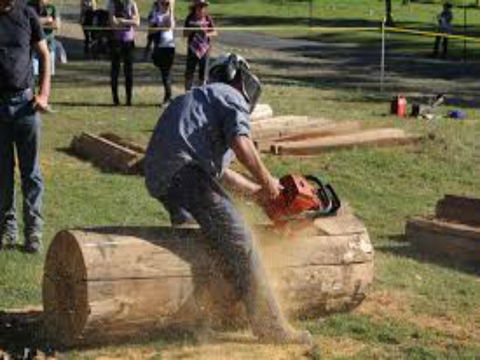 Tocal Field Days - Tourism Hervey Bay 0