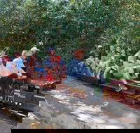 Twilight Run   Willans Hill Miniature Railway - Hervey Bay Accommodation