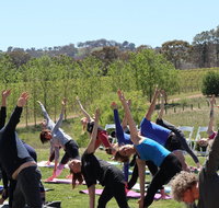 Yoga in the Vines
