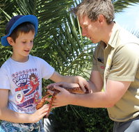 Zoocation at the National Zoo  Aquarium - Tourism Hervey Bay
