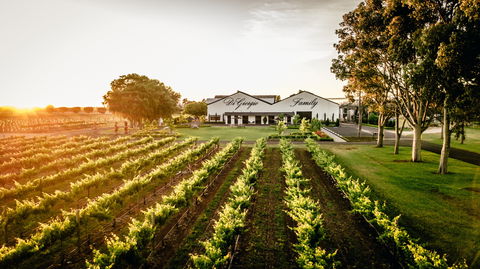 Aged Wine And Vintage Pies - Hervey Bay Accommodation 2