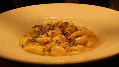 Aquacotta Italian Restaurant - Tourism Hervey Bay 1