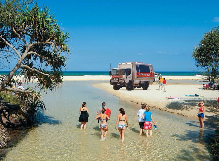 Fraser Island (K'gari) Adventures