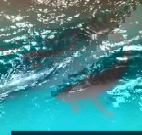 Ningaloo Lodge Exmouth - Tourism Hervey Bay